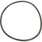 Pierścień uszczelniający o-ring