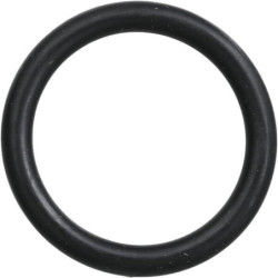 Pierścień uszczelniający o-ring