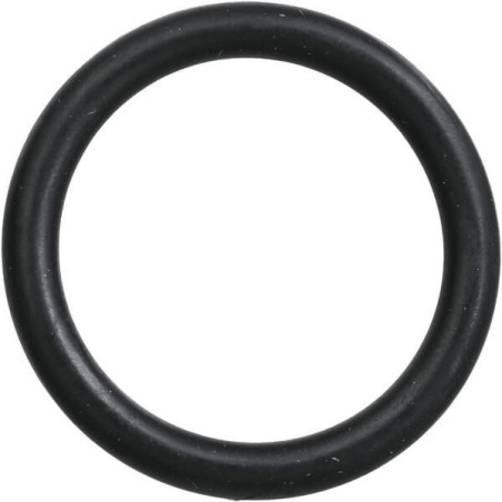 Pierścień uszczelniający o-ring