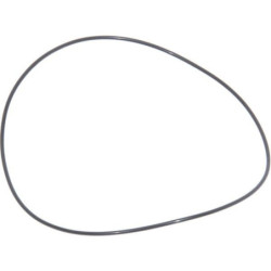 Pierścień uszczelniający o-ring