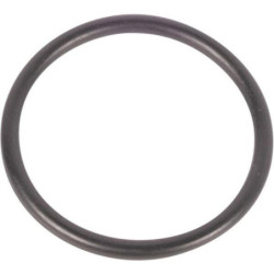 Pierścień uszczelniający o-ring