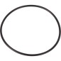 Pierścień uszczelniający o-ring