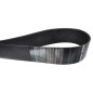 Pasek napędu, 24 PJ x 1244 mm