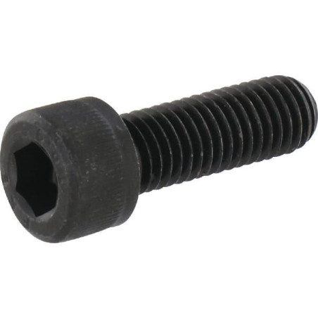 Śruba M10x30,10