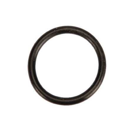 O-ring 20,29 x 2,62