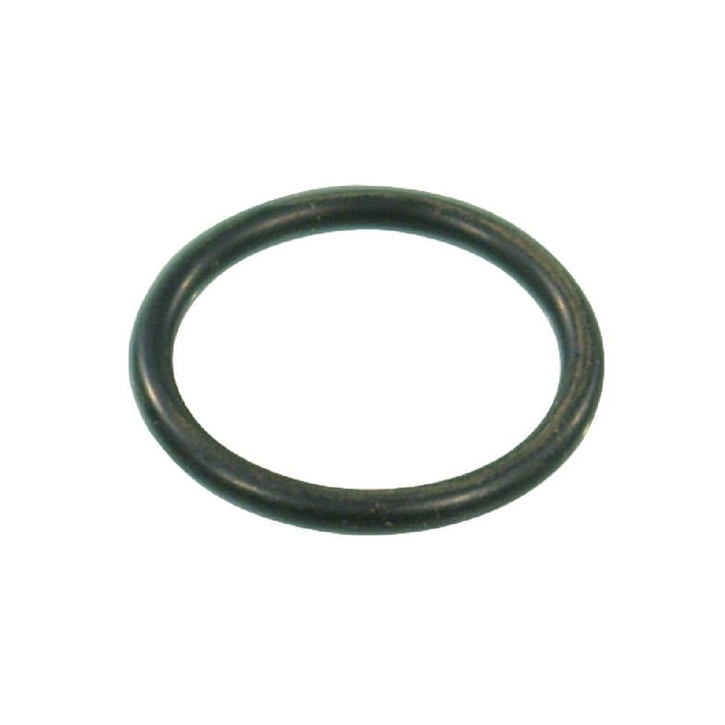 Pierścień uszczelniający o-ring 20.29x2.62mm EPDM czarny Arag