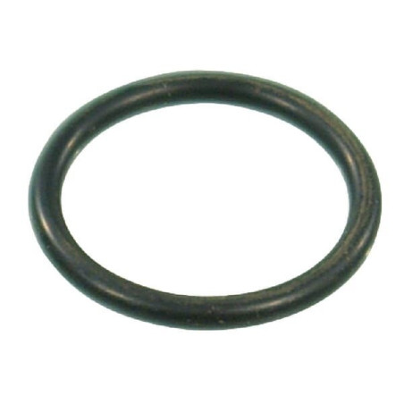 Pierścień uszczelniający o-ring 20.29x2.62mm EPDM czarny Arag