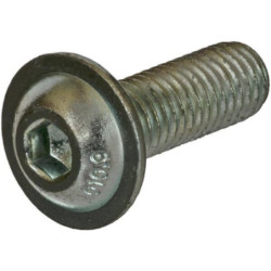 Wkręt grzybkowy M5x20 mm kl. 10.9 ocynk