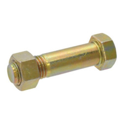 Śruba M20