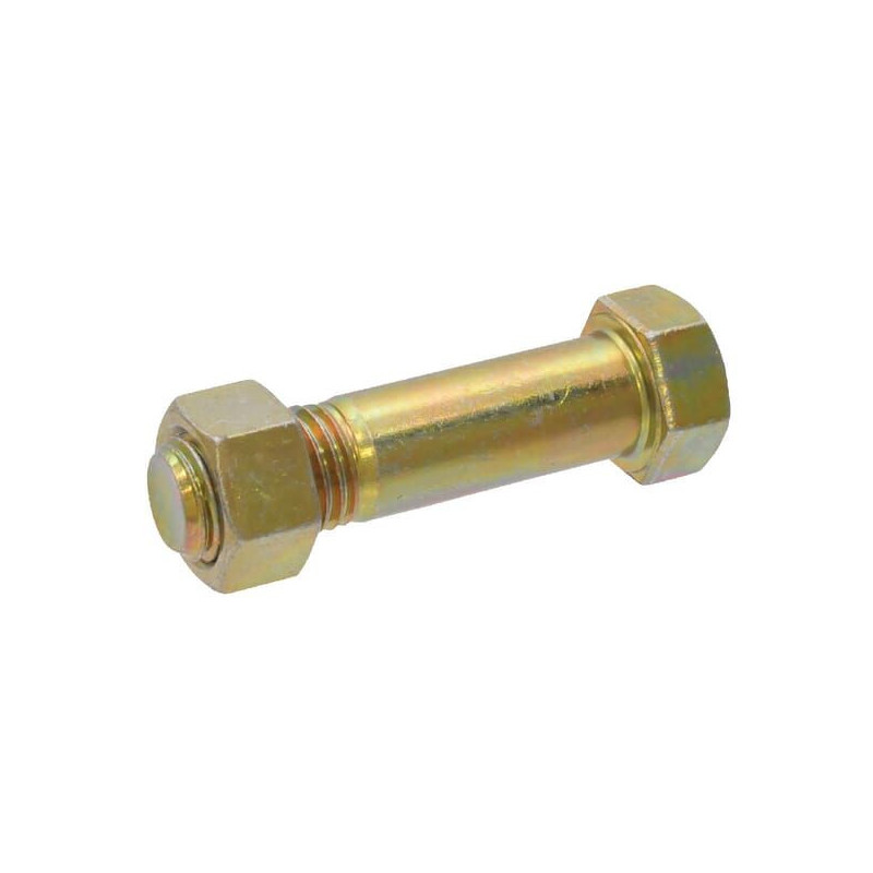 Śruba M20