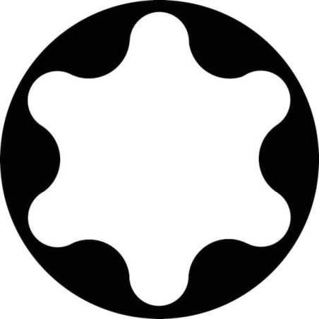 "Nasadka Torx 1/2"", TX 80"