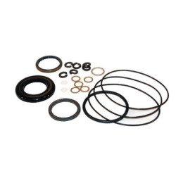 Seal Kit OMP/R x 11188319