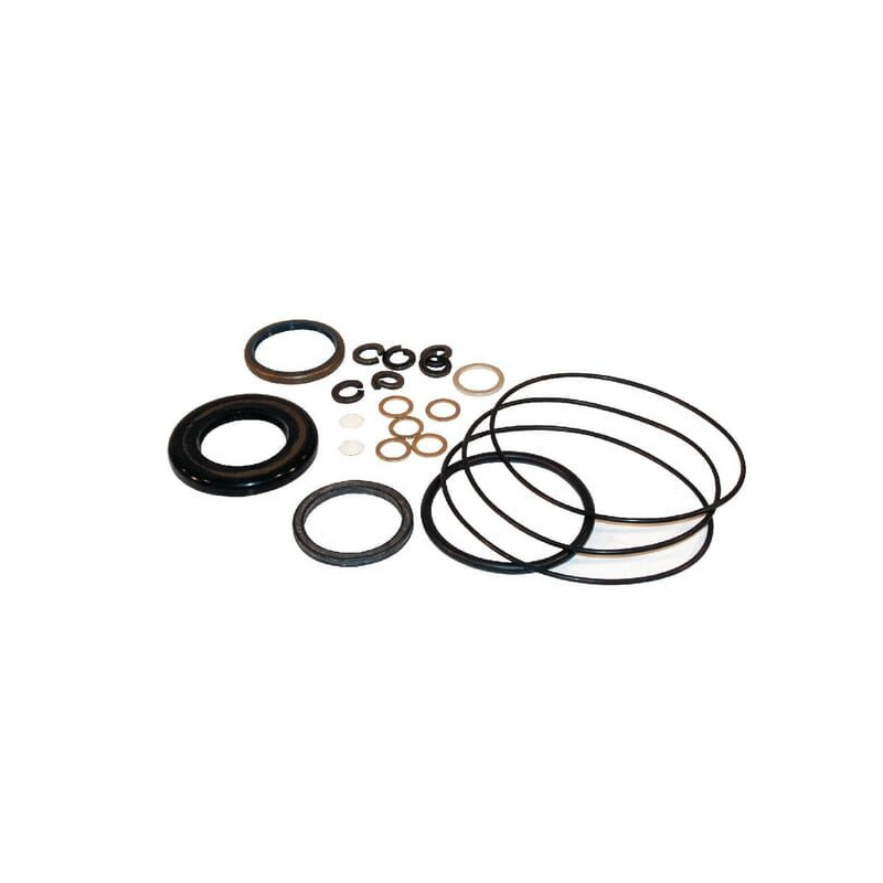 Seal Kit OMP/R x 11188319