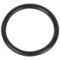 Pierścień uszczelniający o-ring