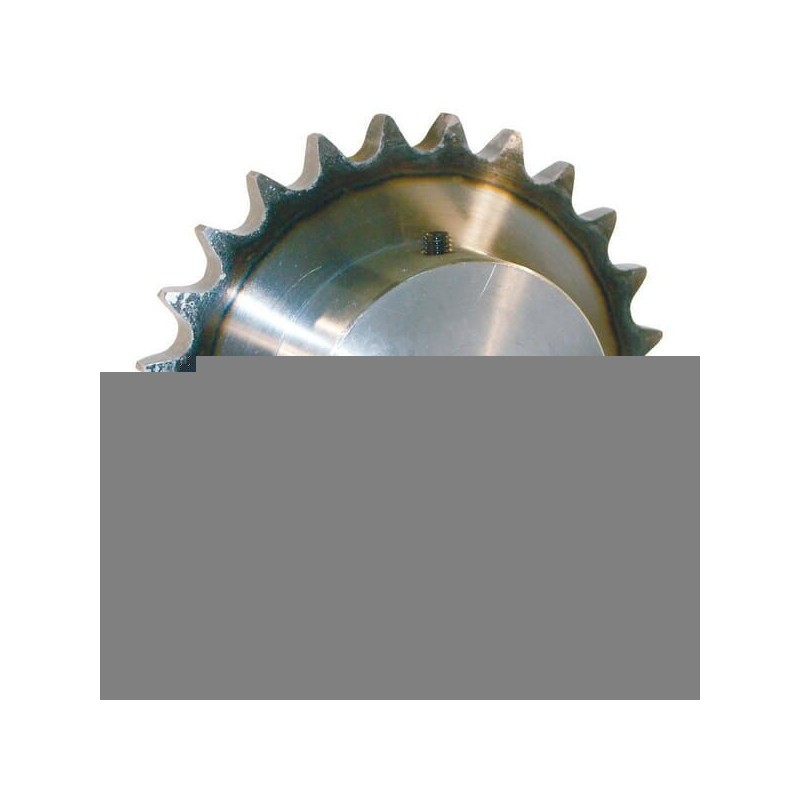 "Koło łańcuchowe pojedyncze 24 zębów 3/4"" łańcuch 12 B-1 otwór 30 mm Kramp"