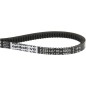 Pas klinowy Z19 3/4 10x500mm Optibelt