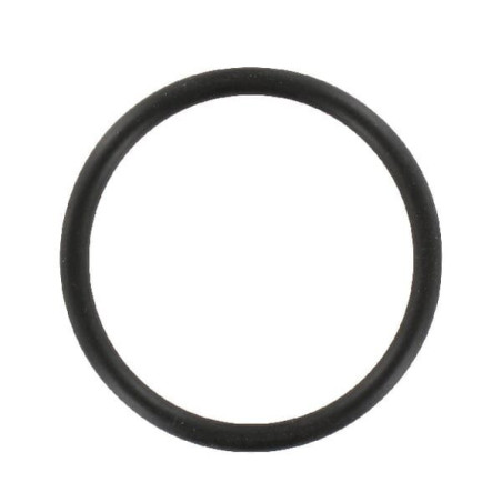 +O-Ring