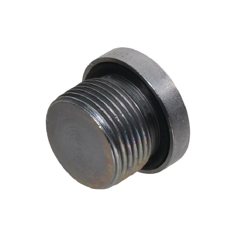 Korek z uszczelką M22x1.5