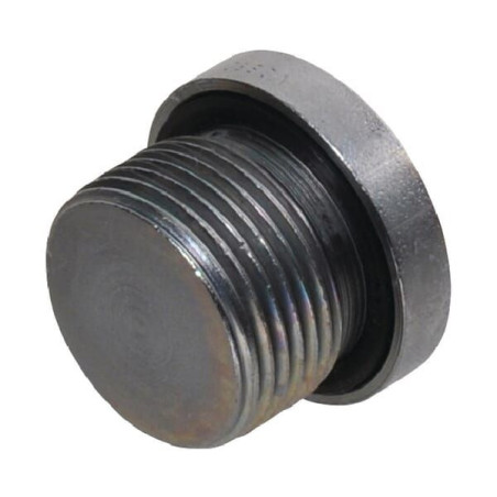 Korek z uszczelką M22x1.5
