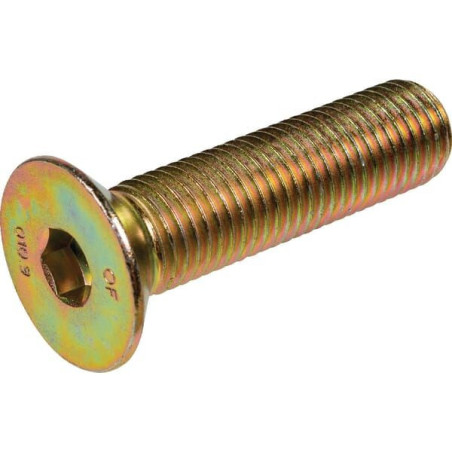 Śruba imbusowa z łbem stożkowym M20x80 mm