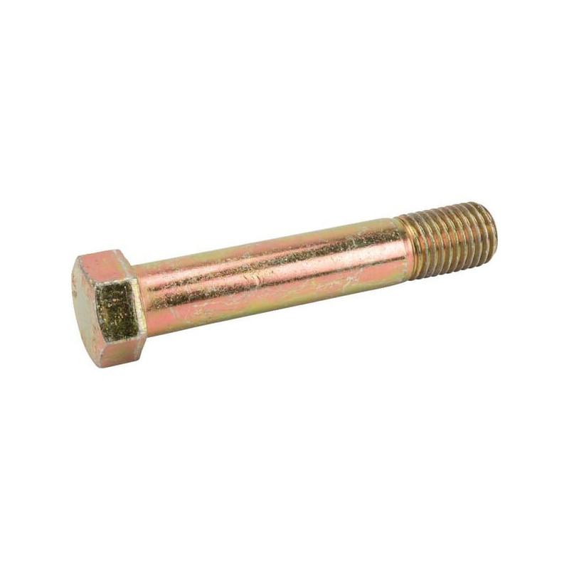 Śruba z łbem 6-kt. M20x110 mm
