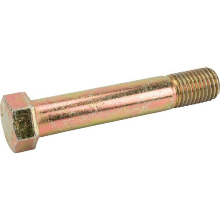 Śruba z łbem 6-kt. M20x110 mm