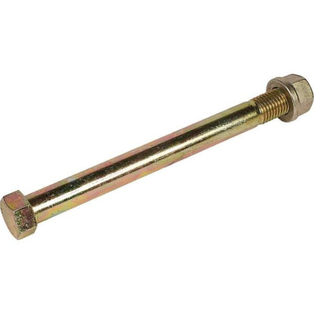 Śruba M20x220 mm z nakrętką