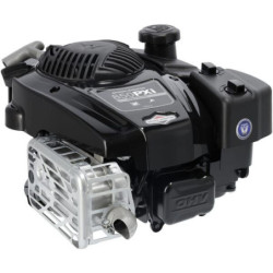 Silnik 123P02H,YY0001 seria 850 OHV I/C B&S