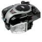 Silnik, wał pionowy, 23 KM, Vanguard, V-Twin, 28.5, Briggs & Stratton