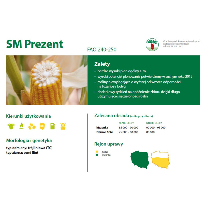 Nasiona kukurydzy Prezent FAO 240-250 Smolice