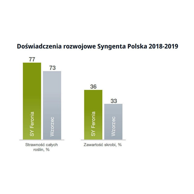 Nasiona kukurydzy Feronia FAO 250 Syngenta