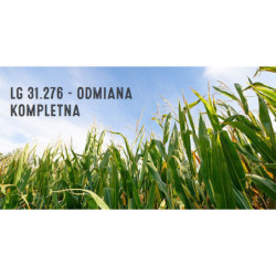 Nasiona kukurydzy LG 31.276 FAO 260 Limagrain