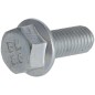 Flange bolt M8 x 20