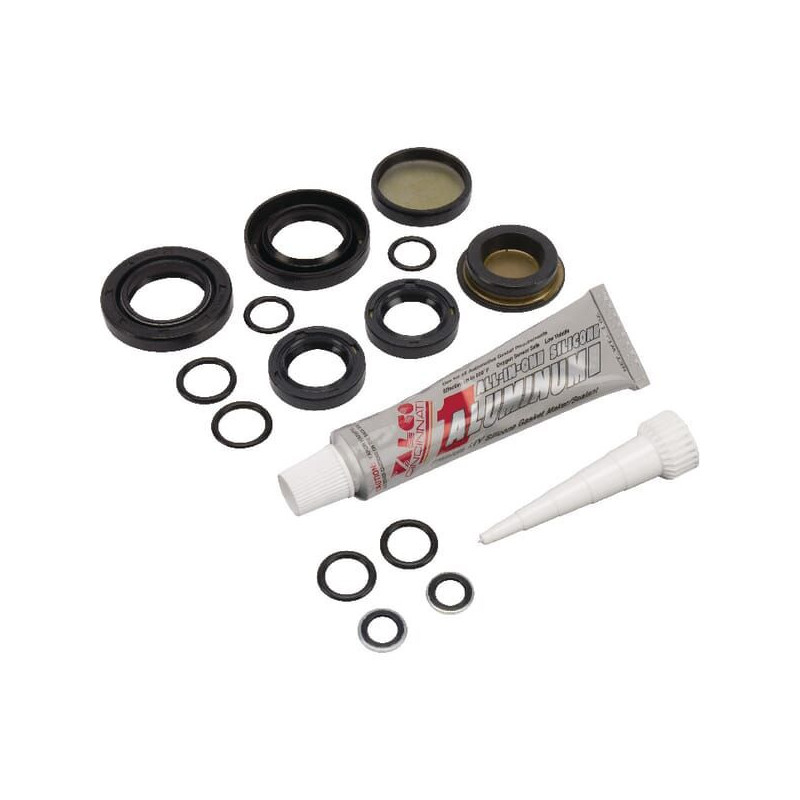 Seal kit (with oil)