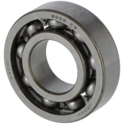 Bearing 6002 C3