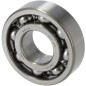 Bearing 6203