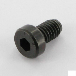 Śruba CHC M6x10
