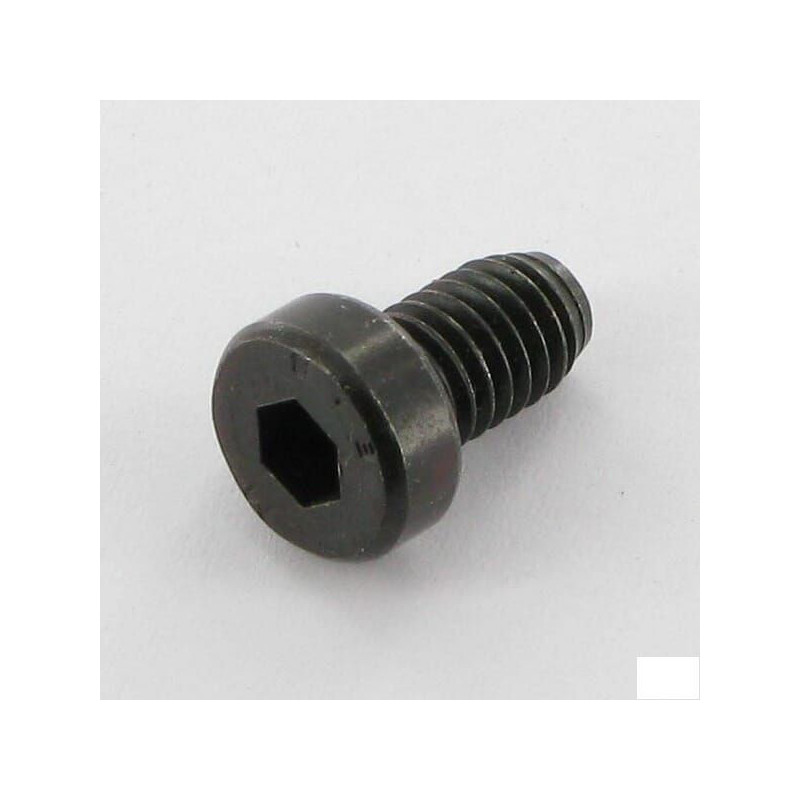 Śruba CHC M6x10
