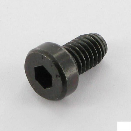 Śruba CHC M6x10