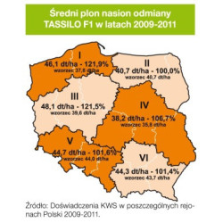 Rzepak ozimy TASSILO F1 KWS 3ha - hybryda nasiona rzepaku