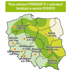 Rzepak ozimy HYBRISURF F1 KWS 3ha - hybryda nasiona rzepaku