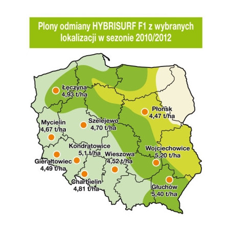 Rzepak ozimy HYBRISURF F1 KWS 3ha - hybryda nasiona rzepaku