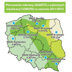 Rzepak ozimy QUARTZ KWS 3ha - nasiona rzepaku