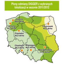 Rzepak ozimy DIGGER KWS 3ha - nasiona rzepaku