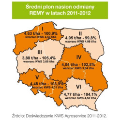 Rzepak ozimy REMY KWS 3ha - nasiona rzepaku