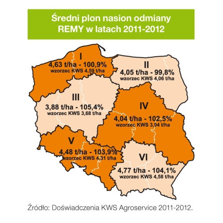 Rzepak ozimy REMY KWS 3ha - nasiona rzepaku