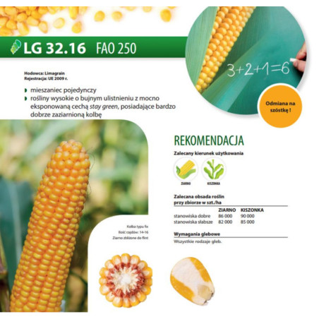 Nasiona kukurydzy LG 32.16 (FAO 250) Limagrain 3216