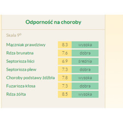 Pszenica jara KANDELA 1 dt - Stopień kwalifikacji C1