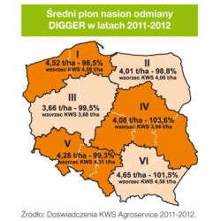 Rzepak ozimy FORZA KWS 3ha - nasiona rzepaku