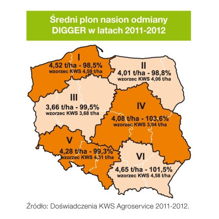 Rzepak ozimy FORZA KWS 3ha - nasiona rzepaku